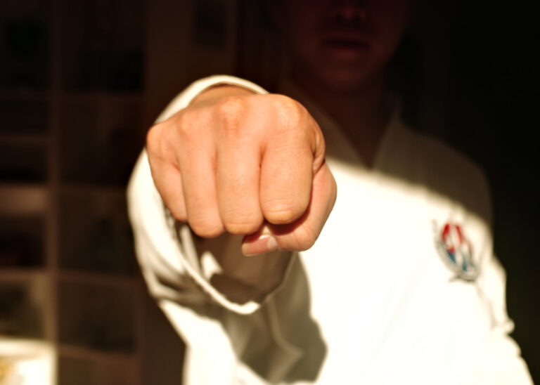 Blackbelt Kampfkunst Union Krems - Fauststoß nach vorne im Sonnenlicht