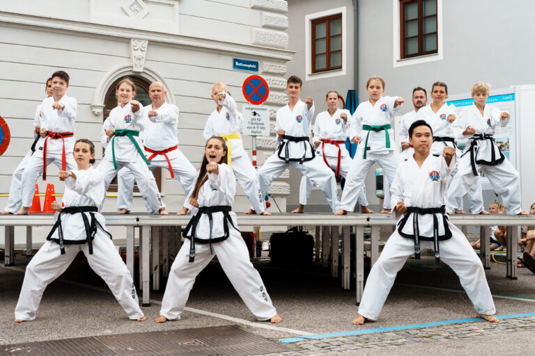 Auftritt beim Mauterner Stadtfest 2025, die ganze Gruppe macht gemeinsam Fauststöße