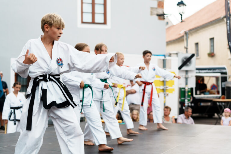 Auftritt beim Mauterner Stadtfest 2025, Die Kinder-Gruppe bei ihrem Showact