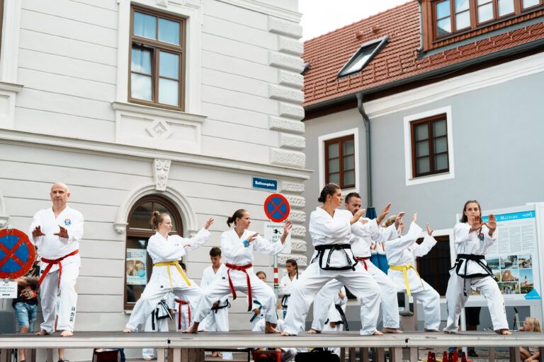 Auftritt beim Mauterner Stadtfest 2025, Meisterin Alexandra mit ihrer Gruppe bei der Kimoodo-Aufführung